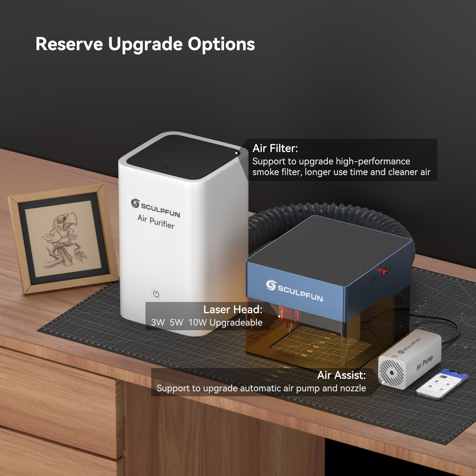 Sculpfun iCube Pro 10W Laser E - Woodworking Logos recensie en prijs
