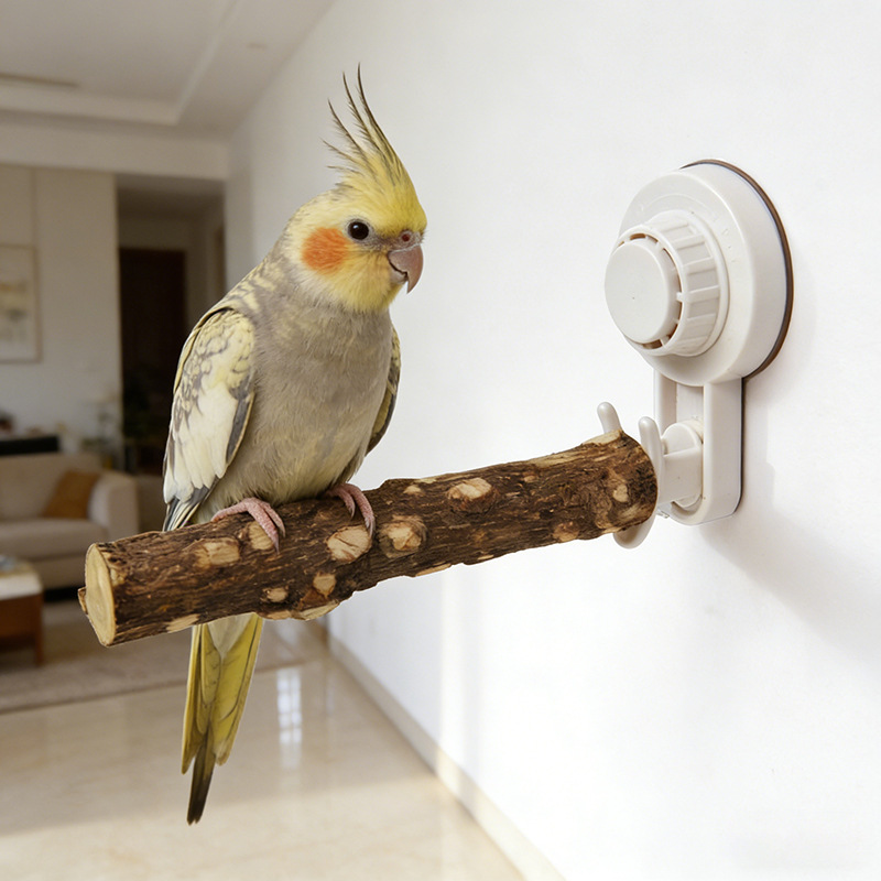 Parrot Stand with Suction Cup  - Woodworking Joints recensie en prijs